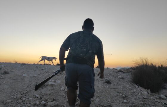 Descaste de conejos con perro: una tarde de caza menor