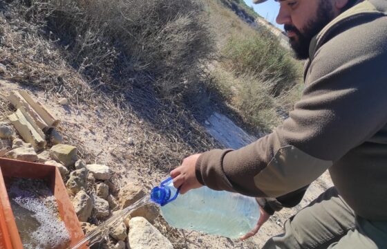 Los cazadores andaluces aportan cada verano más de 20 millones de litros de agua y casi 3 millones de kilos de alimento a la fauna