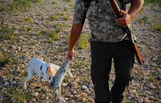 Cazar con calor: qué llevar en la mochila durante el descaste de conejos